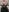 Fan Club Exclusives