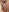 Lexis nudes