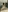 Mary_Miiller's photo