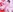 プリンス限定👑裸エプロン💗+🐮ビキニ