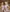 CindyOcean's photo