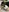 ihaveasecret_'s photo