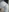 Ester_Star's photo