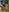 EnchaIeur's photo