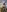 IRIS NAKED (PACK FOR 15 PHOTOS)