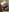 daddys_sub_sissy's photo