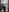 LynBardon's photo