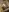 _3_mNm_3_'s photo