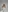 Eva nude