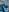 BettiBell's photo