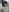 patti-cumdump's photo