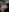 Mini_And_The_Bear's photo