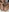 Creampie Close Up Pics
