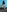 FatimaVelvet's photo
