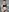 CurlyLara's photo