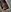 only fans club