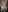 Zeefy's photo