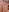 SharomRoss's photo