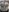 CurvyAlaya's photo