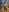 Laurent getting naked in FOREST
