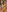 Perfect_design_'s photo