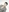 diandian88's photo