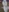 Hotty