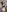 Yourfavouriteinternetgf's photo