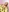 -LOCOMOCO-'s photo