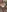 Exlusive content 5