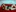 yasmin_goldenst's photo