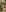 Exclusive bikini photos