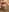 Rose_Libertine's photo