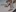 Zosya1111's photo