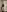 CurlyLara's photo