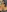 asian_squirt69's photo