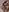 🧸🎉Lulu and Nancy 30 sexy B-DAY pics part 2🎉🧸