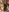 CrazyBubble's photo