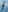 Evelynn's photo