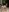 The Torso