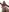 valeriatra69's photo