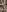 mommyxxmilkerxx's photo