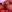 BigdickRick8UncuT's photo