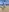 Samira-Summer's photo