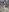 DeepSecret0's photo