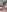 Selvaggia_official83's photo