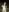 chuchu456789's photo
