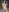 sunshine_babe's photo