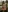 Anna_Joness's photo