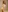 2024 photoset
